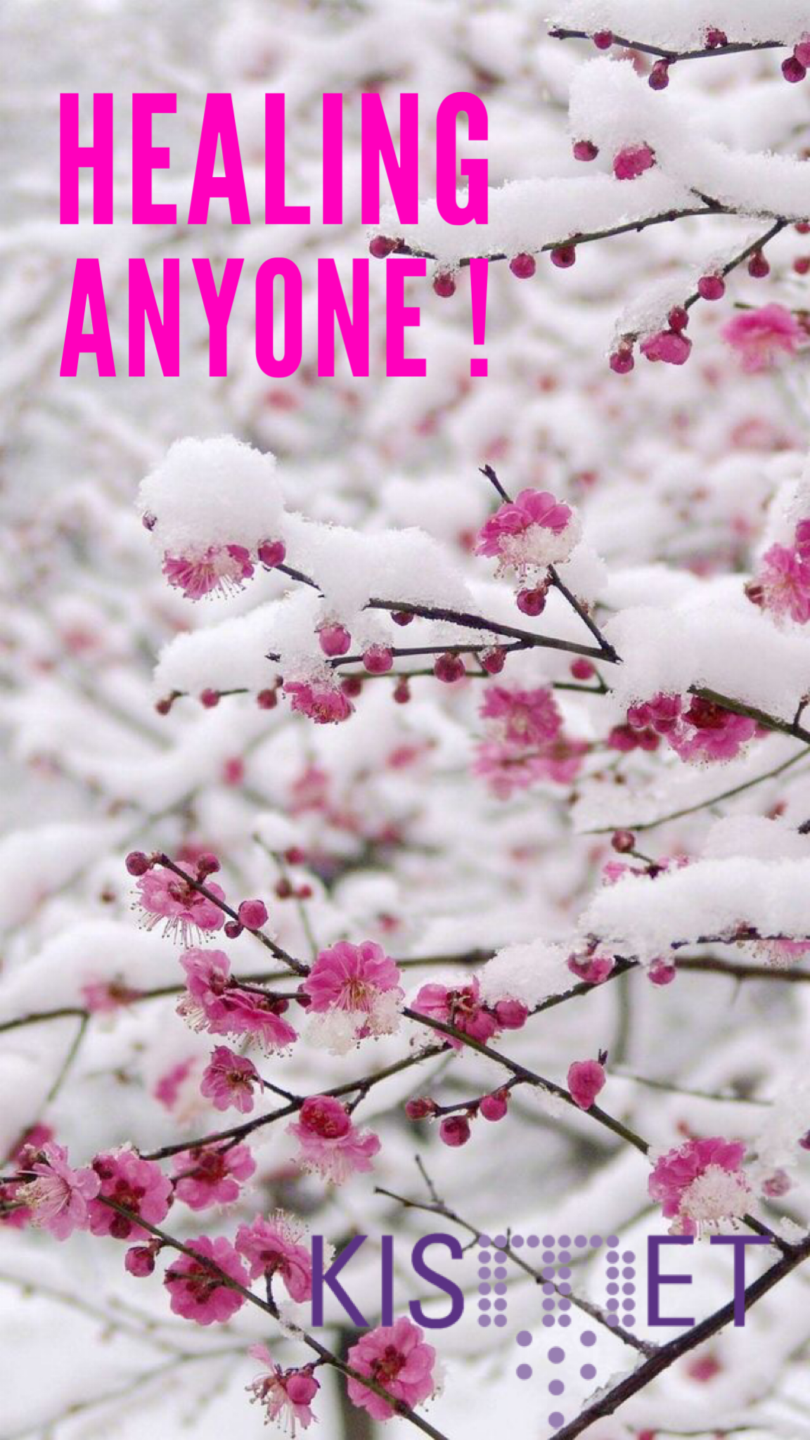 1c145a76-ad09-4b19-b4a8-0a6494e7c3df