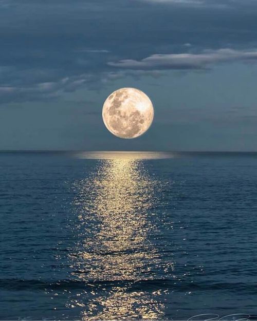 5d0b027c-2f04-4a4c-b081-ec7f664e1860