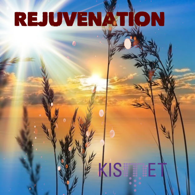 eb3bf177-6913-4161-9988-eb1e9393ea10